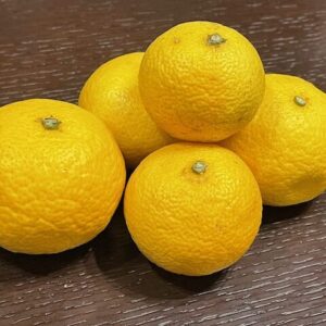 湘南ゴールド　1kg
